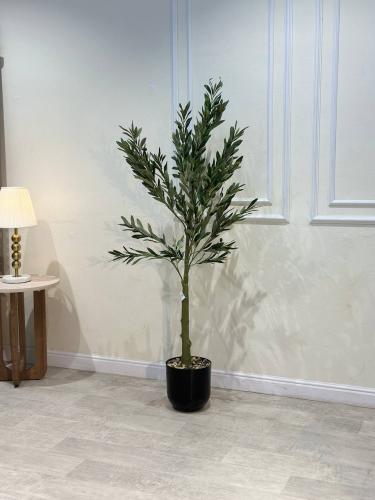 شجرة زيتون صناعية أنيقة بارتفاع 150 سم