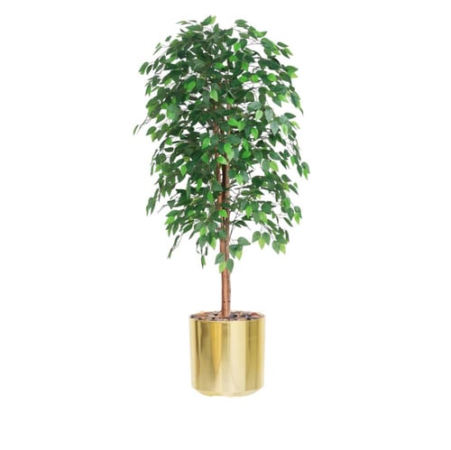 شجرة ورق فيكس صناعية بحوض بلاستيك – مقاس 145 سم