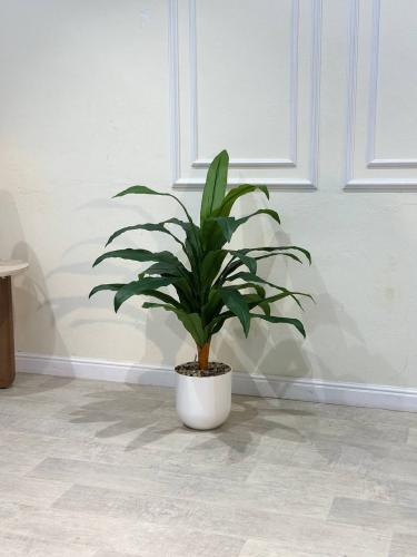 شجرة ذُرة صناعية أنيقة بارتفاع 100 سم