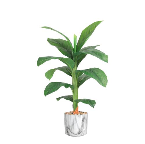 شجر ورق موز صغير حوض بلاستيك مقاس 110 سم