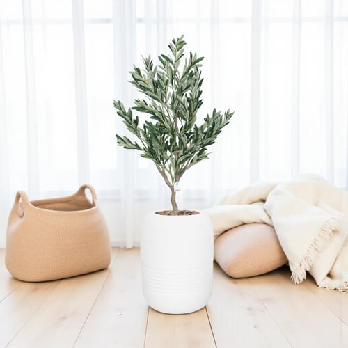 شجرة زيتون حوض فيبر ابيض مقاس 160 سم لون ابيض