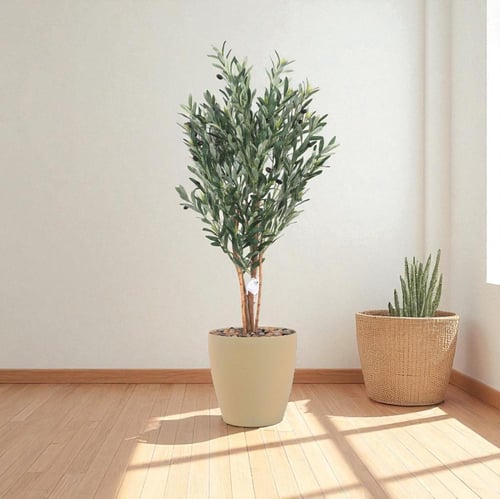 شجرة زيتون طبيعية صناعية – مرْكن بلاستيك ملون – ار...