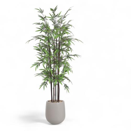 شجر بامبو 6 فرع جذع بني حوض فيبر مقاس 220 سم