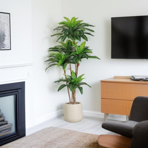 شجرة ذرة 4 فروع حوض بلاستيك مقاس 180 سم لون رمادي