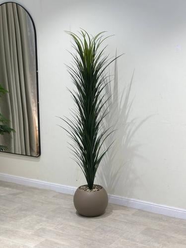 شجرة صبار بمكن بلاستيك لون بني مقاس 170 سم