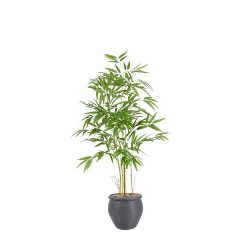 شجر بامبو حوض بلاستيك مقاس 125 سم