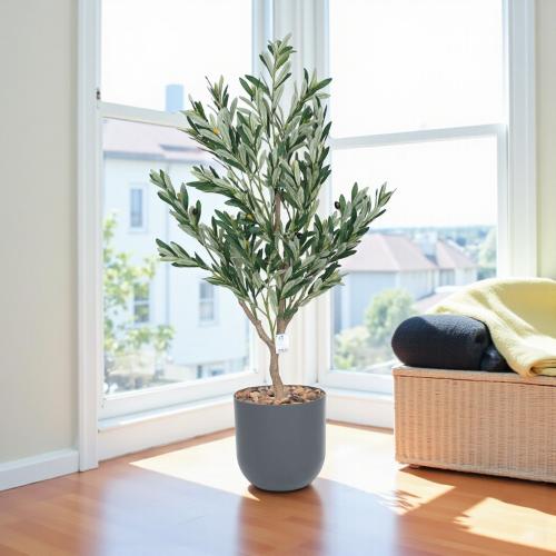 شجر زيتون صغير حوض بلاستيك مقاس 130 سم