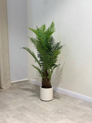 شجره نخل بمركن ابيض مقاس 120 سم