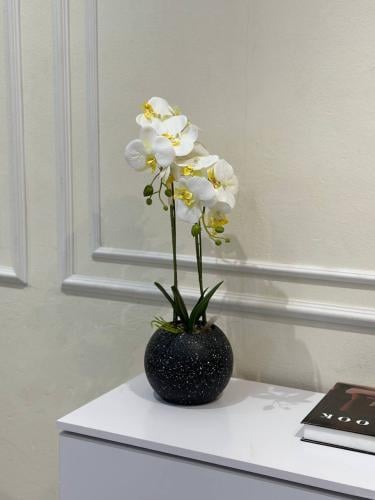 شجرة ورد الأوركيد الأبيض الأنيق – لمسة فاخرة من ال...