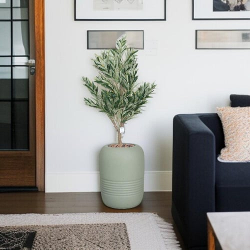 شجرة زيتون حوض فيبر ابيض مقاس 160 سم لون ابيض