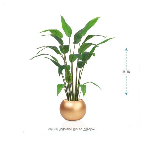 شجر ورق عصفور الجنة حوض بلاستيك