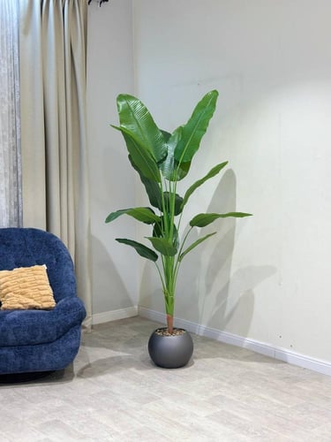 شجرة ورق الموز حوض رمادي بلاستيك