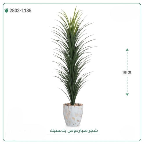شجرة صبار حوض بلاستيك مقاس 170 سم