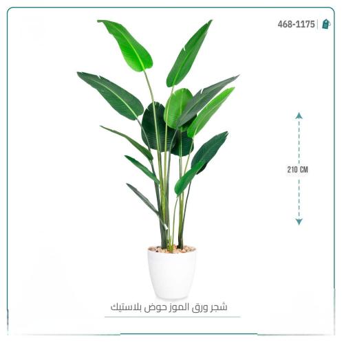 شجرة ورق الموز حوض اوف وايت بلاستيك