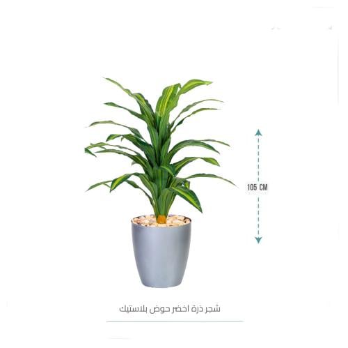 شجر ذرة اخضر حوض بلاستيك