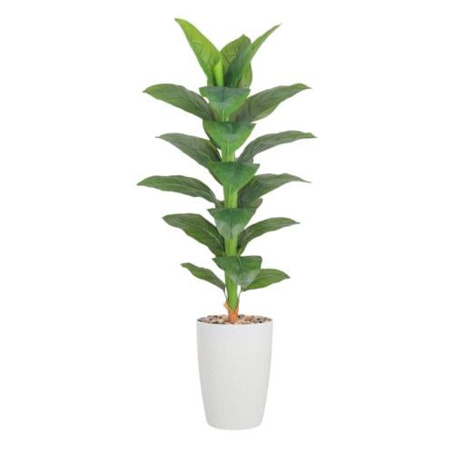 شجر ورق موز وسط حوض بلاستيك مقاس 175 سم