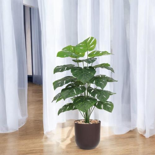 شتلة ورق مونسترا 24 ورقة حوض بلاستيك مقاس 105سم