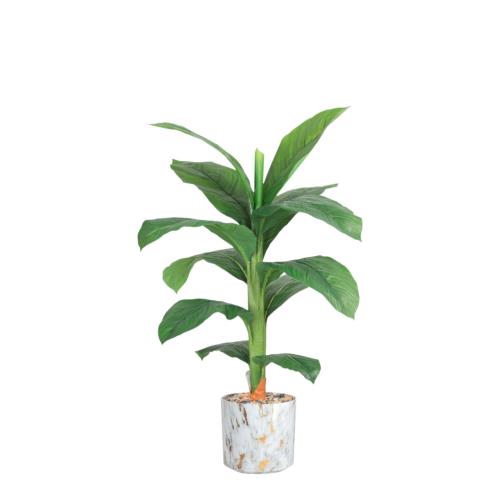 شجر ورق موز صغير حوض بلاستيك مقاس 110 سم