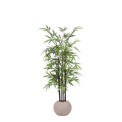 شجر بامبو 6 فرع جذع بني حوض بلاستيك مقاس 150 سم