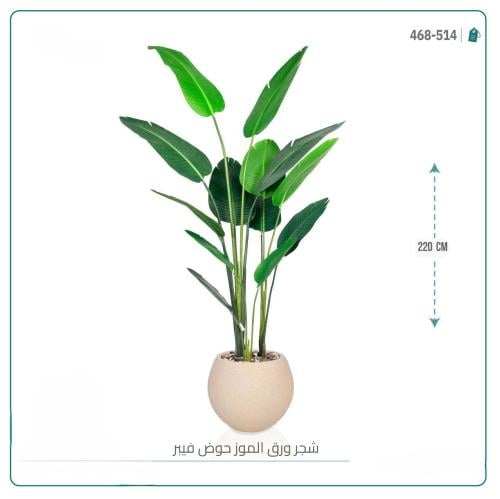 شجرة ورق الموز حوض اسود مطفي فيبر