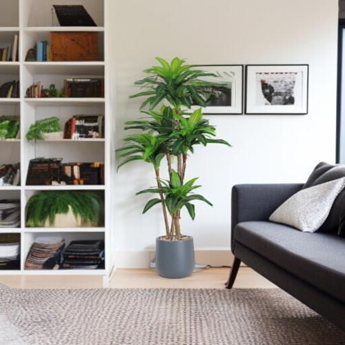 شجرة ذرة 4 فروع حوض بلاستيك مقاس 180 سم لون رمادي