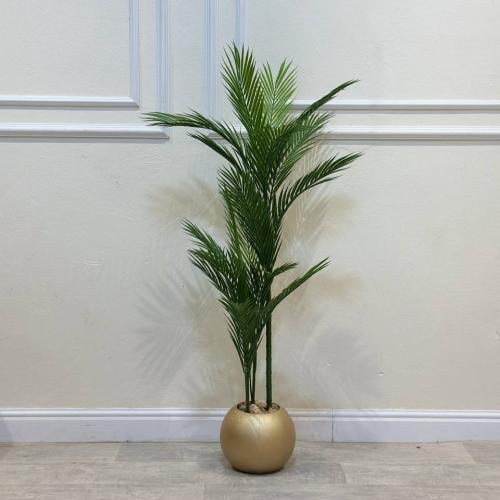 شتله ورق شجر أريكة نخلة بمركن فيبر 125سمأخضر حوض ب...