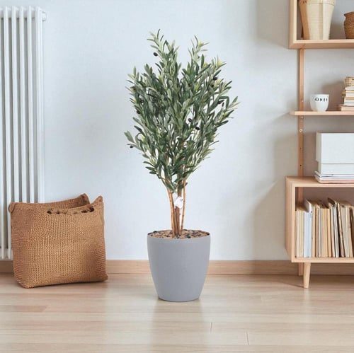 شجرة زيتون طبيعية صناعية – مرْكن بلاستيك ملون – ار...