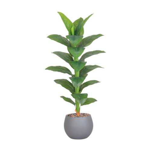 شجر ورق موز وسط حوض بلاستيك مقاس 160 سم