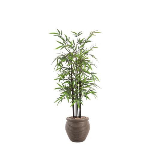 شجر بامبو 6 فرع جذع بني حوض بلاستيك مقاس 150 سم