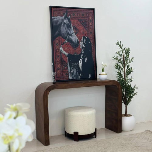 مدخل - كونسول قشر جوز الهند