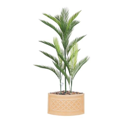 شجرة اريكا حوض بلاستيك زاوية