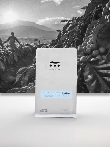 ASH - بوينافيستا