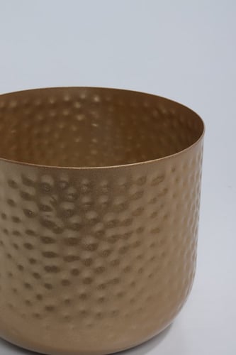 حوض ورد و نباتات ذهبي.