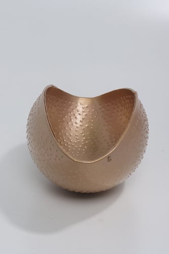 أحواض ورود و نباتات لون ذهبي.