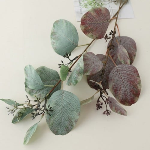 غصن أوراق الأوكالبتوس مع توت