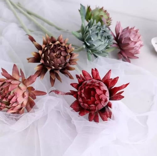 أزهار الخرشوف.