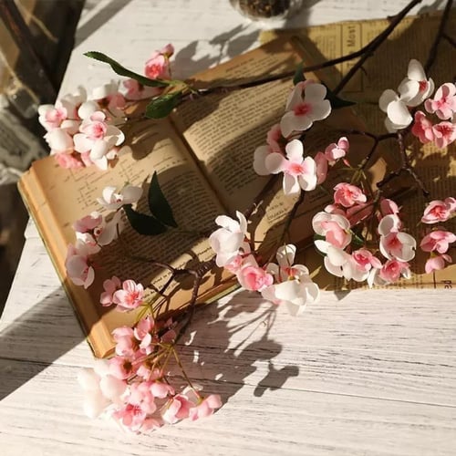 أزهار شجره الكرز.