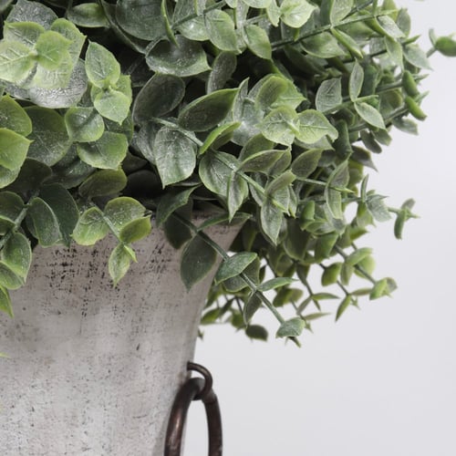 مركن أوراق شوكة الخريف