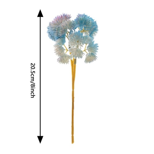 زهرة الأرز الكوبيه