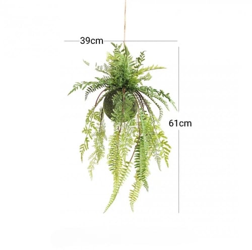 نباتات السرخس الصناعيه المعلقه.