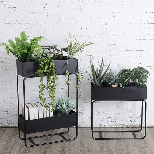 استاند نباتات