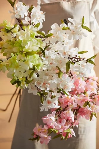 ورد شجره الكرز.