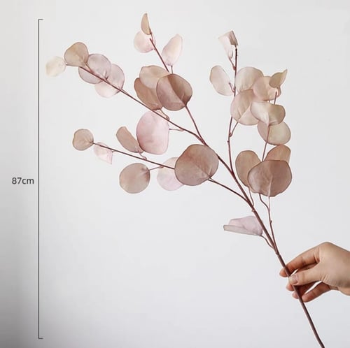 أوراق الاوكالبتوس بألوان الخريف.