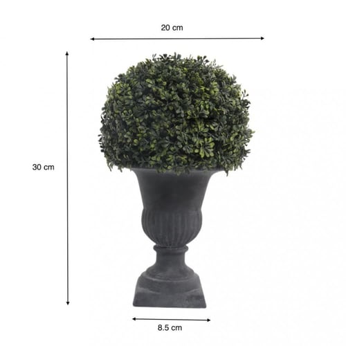 نبات توبياري صناعي في اناء اسود.