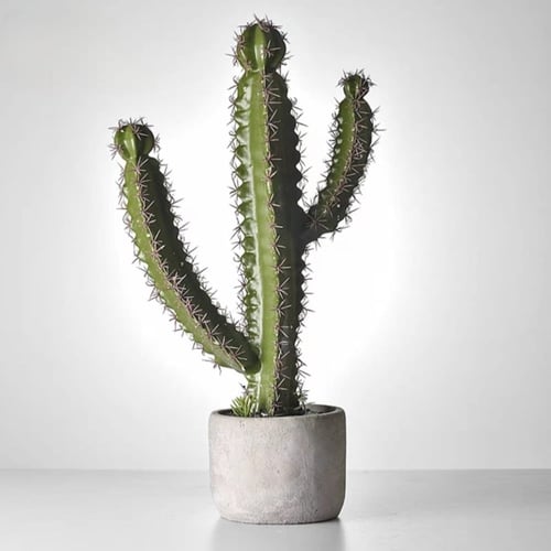 نبات صبار صناعي