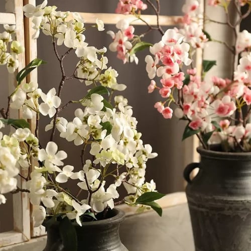 أزهار شجره الكرز.