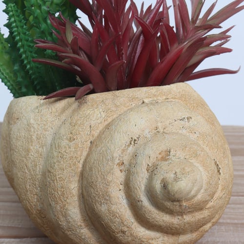 مجموعه صبارات صناعيه متنوعه في إناء شكل قوقعه.