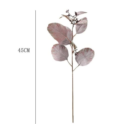 غصن أوراق الأوكالبتوس مع توت