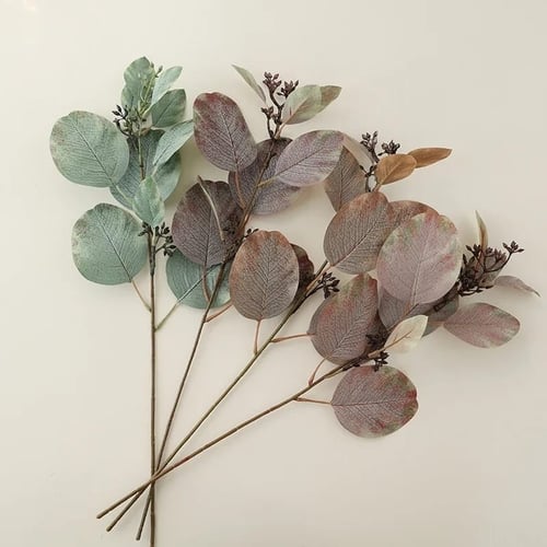 غصن أوراق الأوكالبتوس مع توت