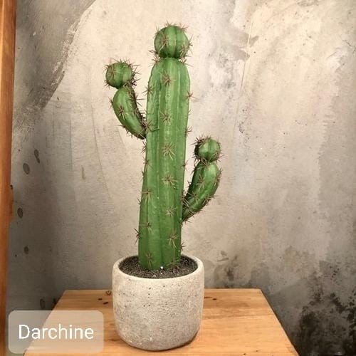 نبات صبار صناعي